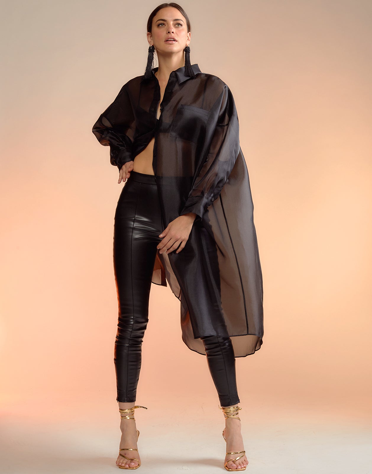 Oversized Organza Shirt