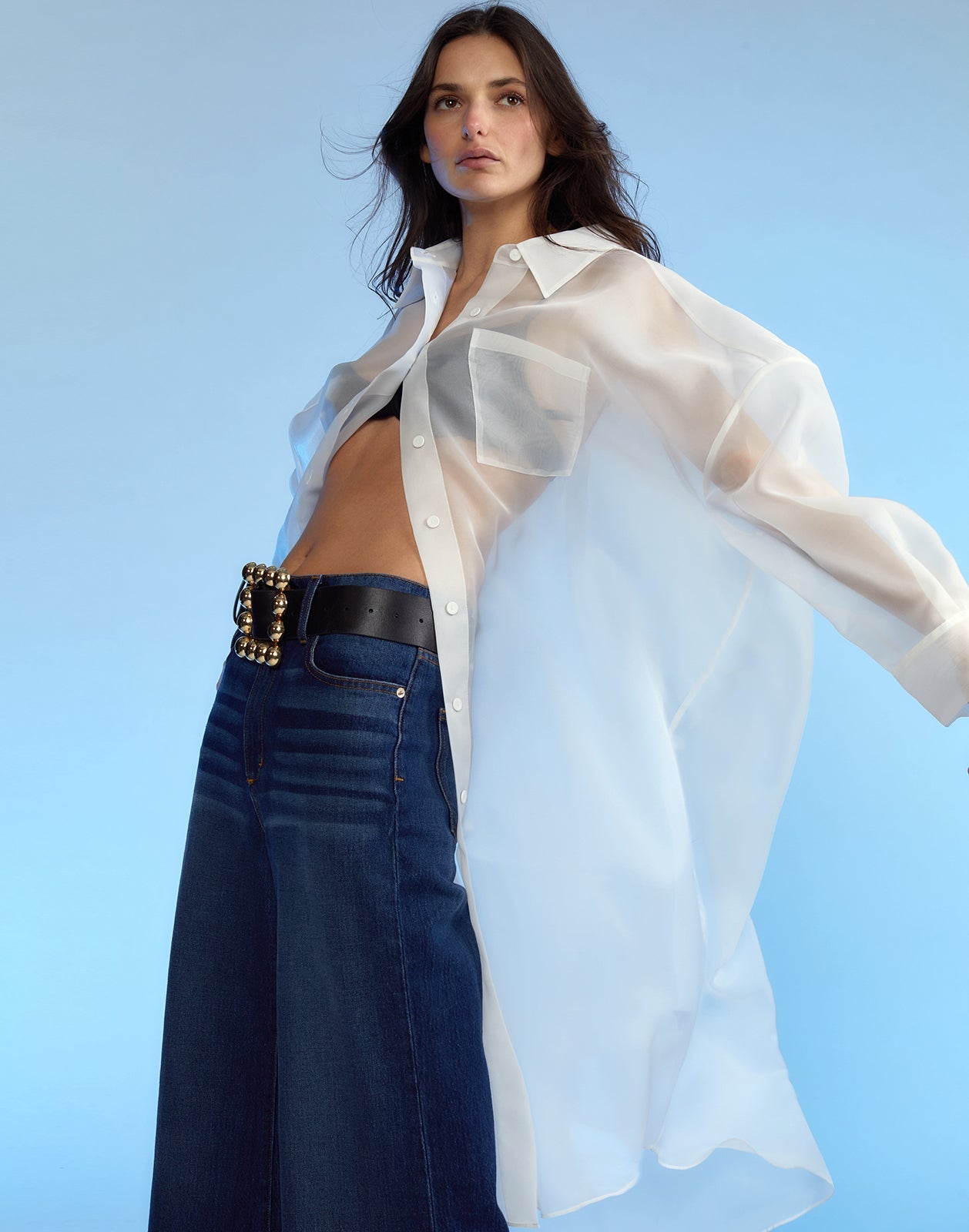 Oversized Organza Shirt