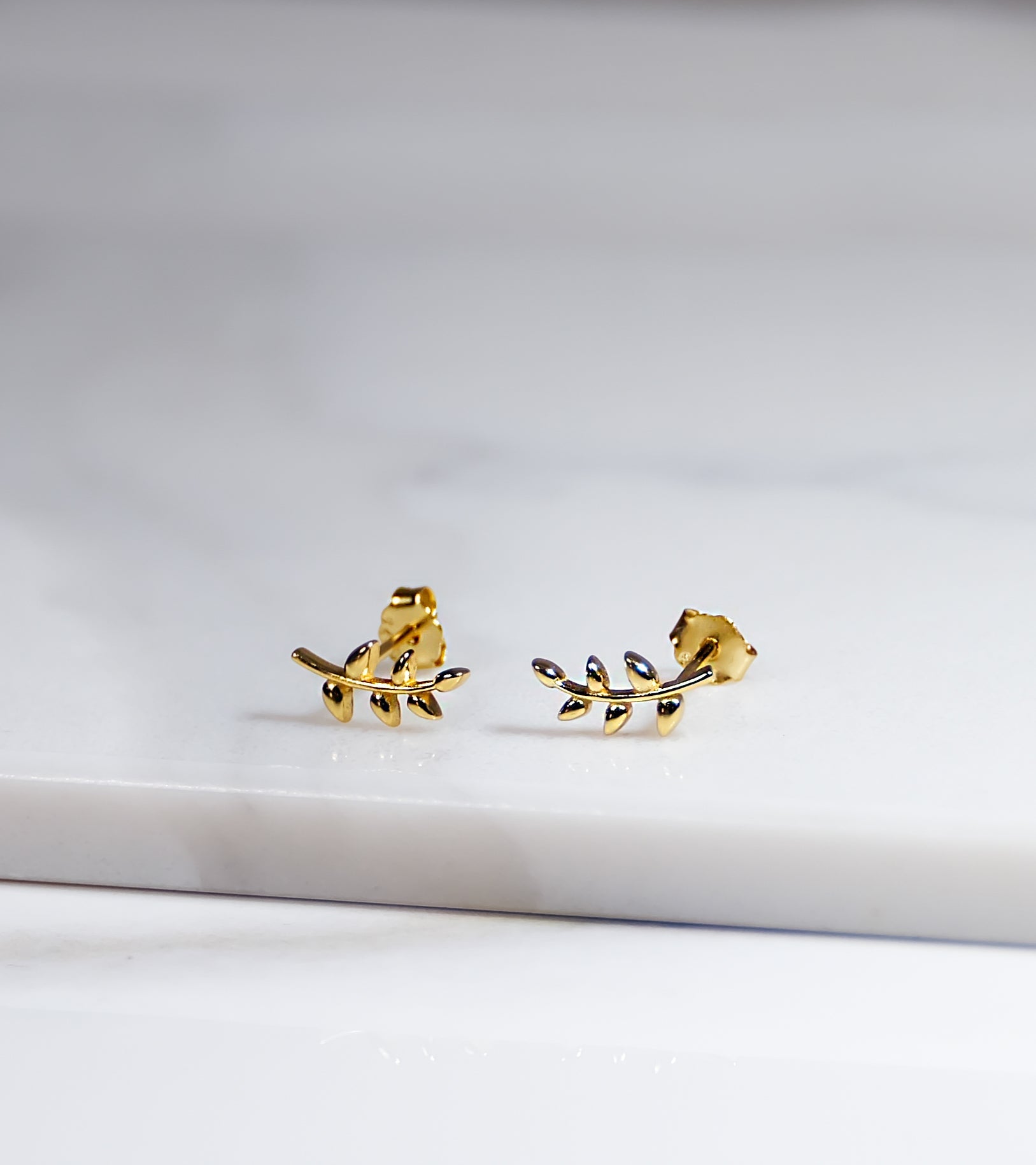 Leafy Gold Colour Earrings