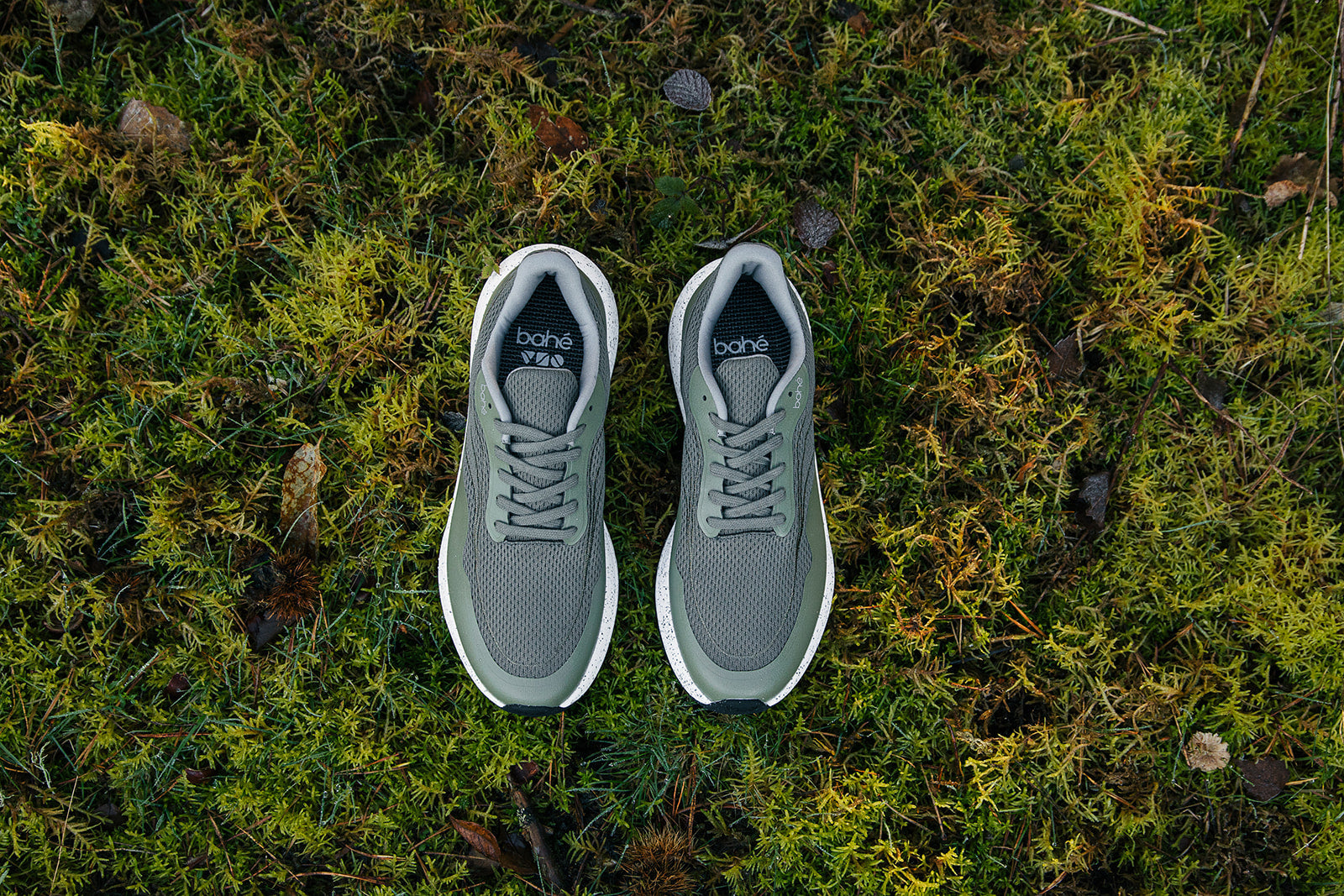 Men's - Recharge Grounding shoe (Forest)
