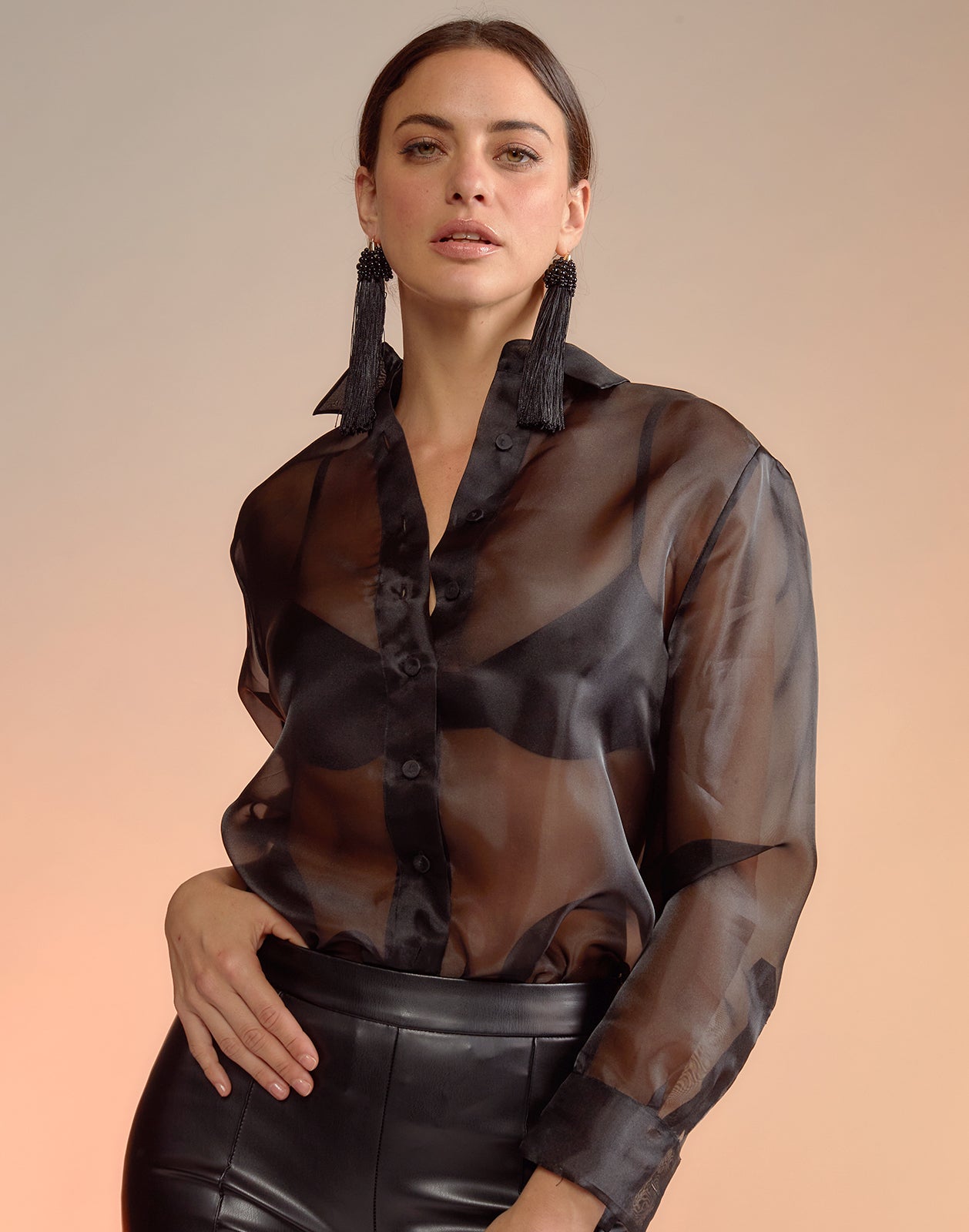 Sassy and Classy Rust Brown Sheer Button-Up Organza Top